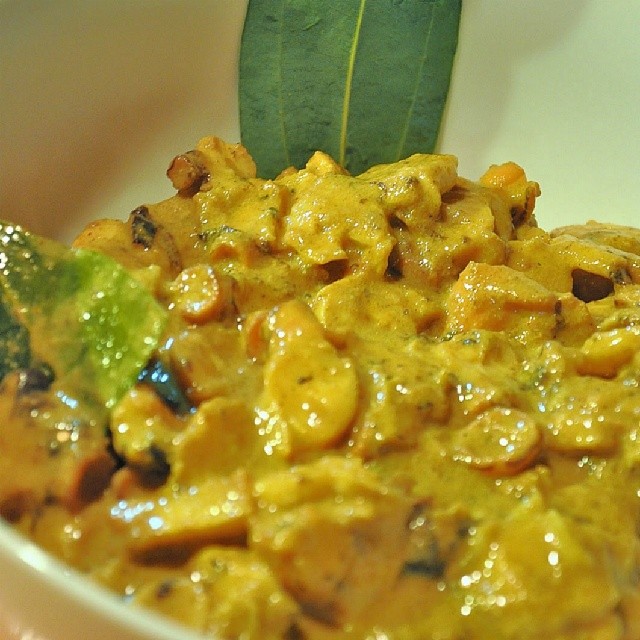 creamy-octopus-curry
